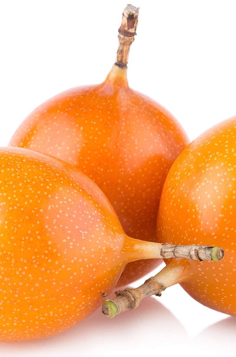 GRANADILLA