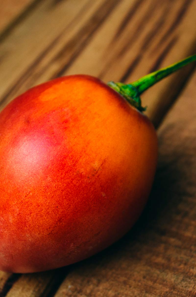 TOMATE DE ÁRBOL